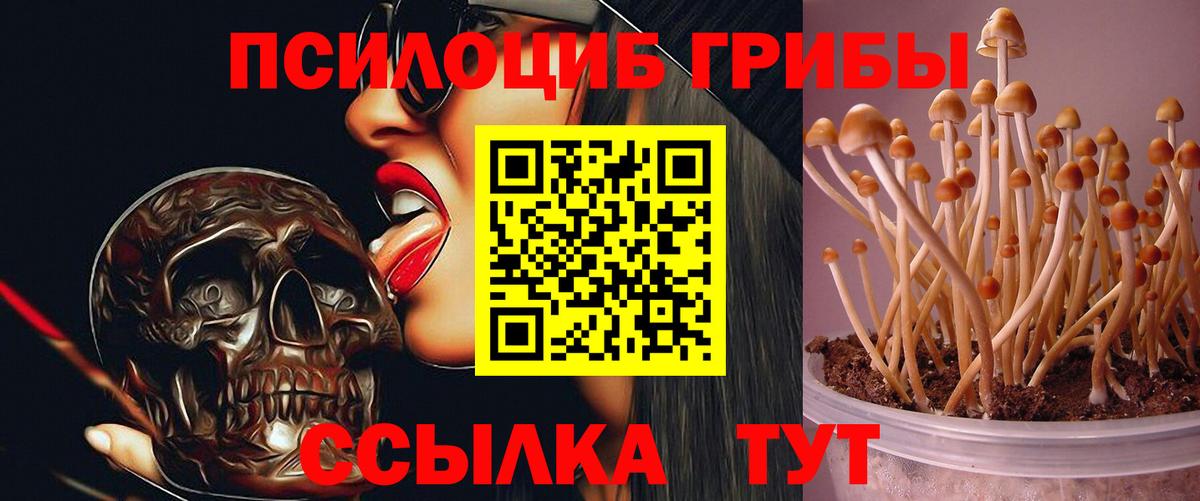 Галлюциногенные грибы мухоморы  Вход с VPN  Чернушка 